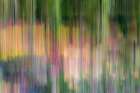 France-Giverny Abstract of flowers in Monets Garden Art Print